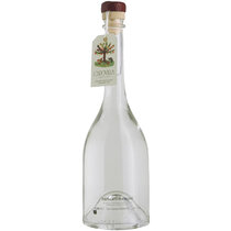 Distillato di prugnolo gentile